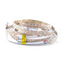 Стрічка світлодіодна RISHANG SMD 2111, 24V, 700d/m, 30W/m, 2700K, IP33, (RD02AFXC-T)