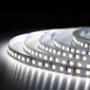 Стрічка світлодіодна BIOM Prof. SMD 2835 ,120d/m,13.5W/m,IP20,холодна біла BPS-G3-12-2835-120-CW-20