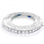 Стрічка світлодіодна Biom Prof. SMD 2835,120d/m,9.6W/m,(5mm) IP20,холодна біла
