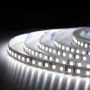 Стрічка світлодіодна Biom Prof. SMD 2835,120d/m,9.6W/m,(5mm) IP20,холодна біла