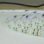 Стрічка світлодіодна Biom Prof. SMD 2835,120d/m,9.6W/m,(5mm) IP20,холодна біла