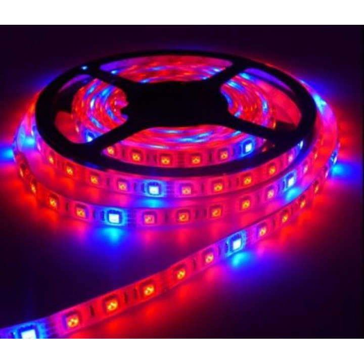 Стрічка світлодіодна FITO(4R1B) SMD 5050,12V, 60d/m, 14.4W/m, IP65, фітострічка