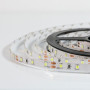 Стрічка світлодіодна BIOM,ST-24-2835-60-NW-20-V2,4000-4500K, IP20, 4.8W/m, 24V, нейтральна біла,
