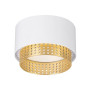 Світильник LED накладний-врізний MAXUS GX53 WHITE 2in1 MAX-D-GX53-WG