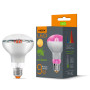Лампа світлодіодна Videx FILAMENT R80FF 9W E27 1200K 220V  (480628)