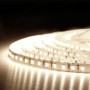 Стрічка світлодіодна BIOM  24V Prof. BPS-G3-24-2835-120-WW-20, тепла біла-