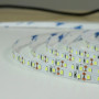 Стрічка світлодіодна BIOM  24V Prof. BPS-G3-24-2835-120-WW-20, тепла біла-