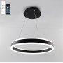 Люстра LED SMART ESLLSE STELLA 64W,IP20,3000-6500K,чорно білий,10034.