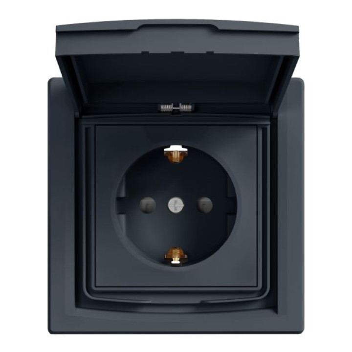 Розетка Schneider ASFORA 1-а з з/з з кришечкою IP44 Антрацит EPH3100371