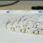 Стрічка світлодіодна BIOM Prof ,SMD 2835 120d/m, 13.5W/m, IP20, тепла біла BPS-G3-12-2835-120-WW-20