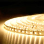 Стрічка світлодіодна BIOM Prof ,SMD 2835 120d/m, 13.5W/m, IP20, тепла біла BPS-G3-12-2835-120-WW-20