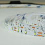 Стрічка LED BIOM Prof, BPS-G3-12-2835-60-NW-20, 6.5W/m, 940lm/m, IP20, (2835NW60bm)