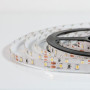 Стрічка світлодіодна SMD 2835, 60d/m, 4.8W/m, 450lm/m, IP20, тепла біла BIOM
